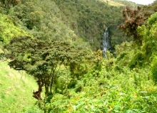 Imagen Cascada - Julio Andrade